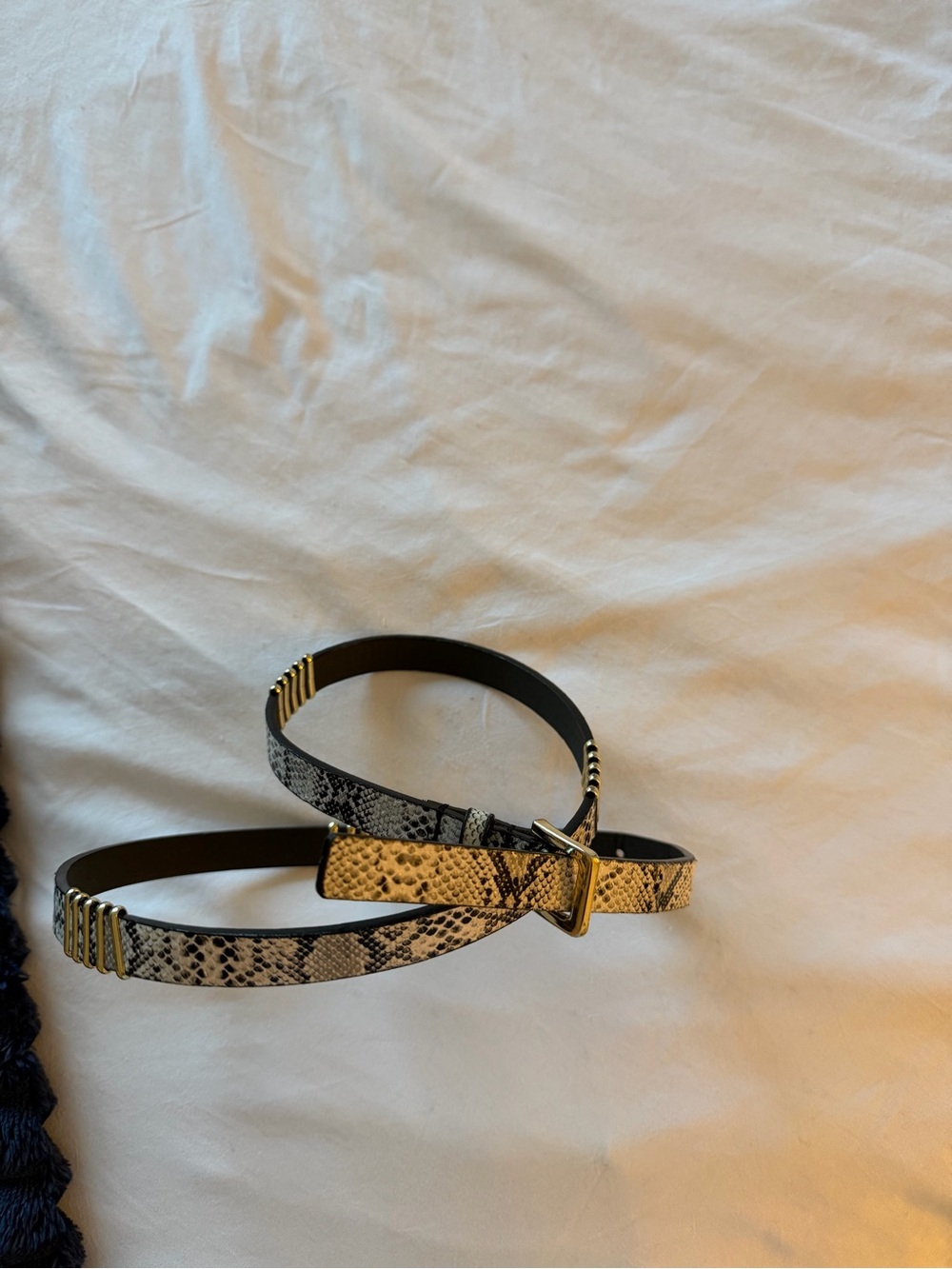 Snake Print Belt